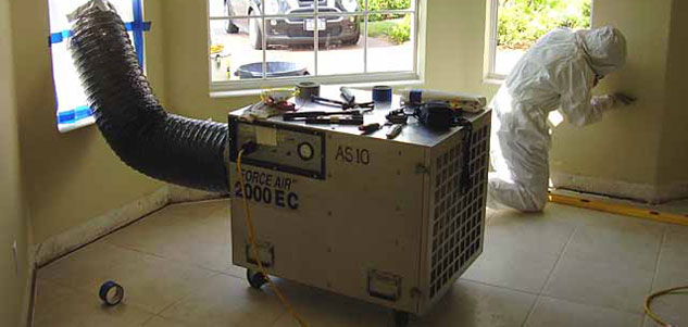 Finding Effective Mold Removal Solutions Hometalk Finding Effective Mold Removal Solutions