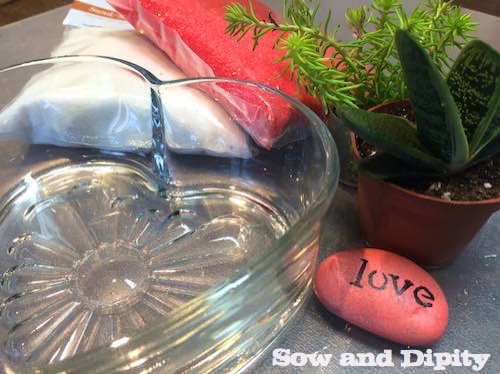 succulent dish garden for valentines day, flowers, gardening, seasonal holiday decor, succulents, valentines day ideas