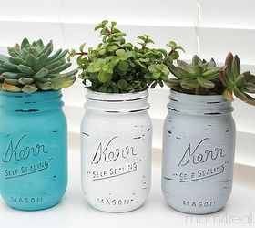 painted mason jar succulent planters, chalk paint, crafts, flowers, gardening, mason jars, repurposing upcycling, succulents