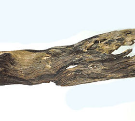 hacer una lmpara colgante de madera de deriva, 4 pies de largo de madera de cipr s