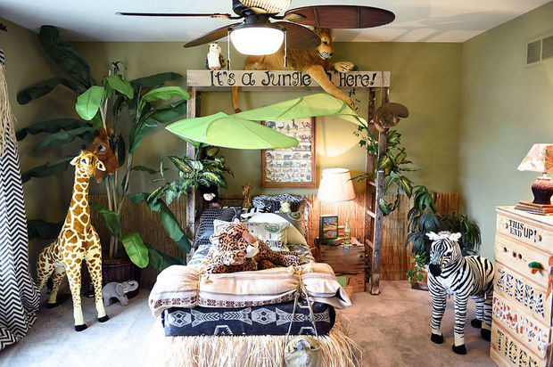 Jungle Themed Bedroom | Hometalk