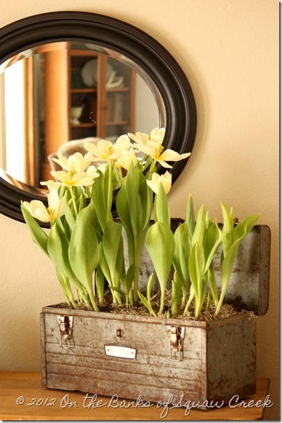 tulipanes en la caja de herramientas