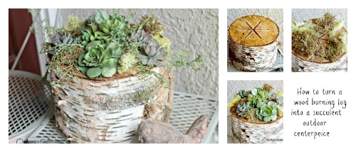 birch log succulent centerpiece, flowers, gardening, outdoor living, succulents