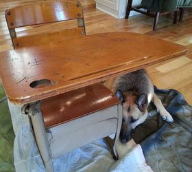vintage child s desk with modern masters general finishes products, painted furniture, repurposing upcycling, Before My dog Booner wanted to help