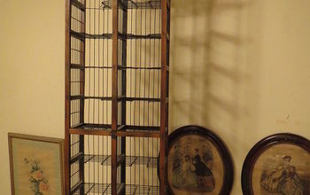 Para os pássaros... transforme um porta-CD em um &quot;gabinete de curiosidades&quot; com tema de pássaros