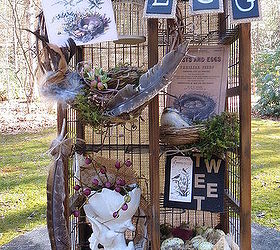 for the birds turn a cd stand into a bird themed curiosity cabinet