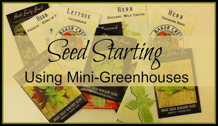 seed starting using mini greenhouses, container gardening, gardening, how to
