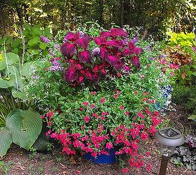 my container gardening, container gardening, flowers, gardening, hydrangea