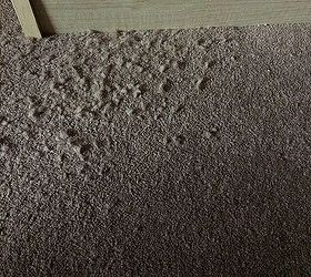 how can i get rid of carpet snags