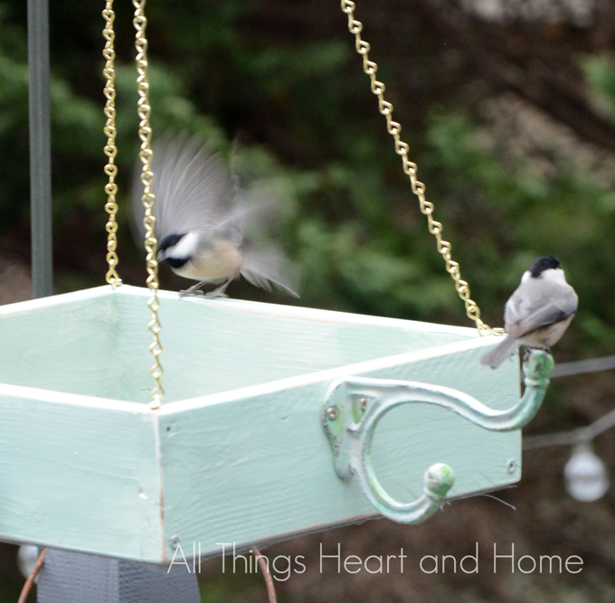 easy platform bird feeder, crafts, gardening, pets animals, woodworking projects
