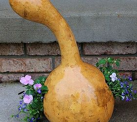 gourd art, Gourd garden