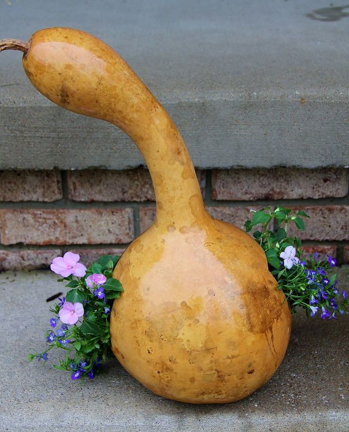 gourd art, Gourd garden