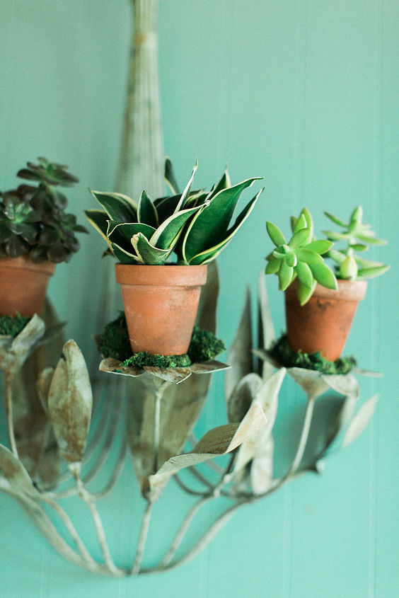 create a succulent sconce, container gardening, gardening, home decor, succulents