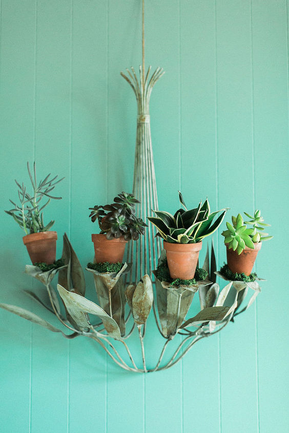 create a succulent sconce, container gardening, gardening, home decor, succulents