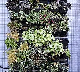 Cómo crear un jardín vertical