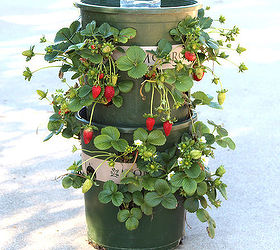 DIY Strawberry Tower With Built-in Reservoir