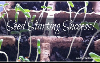 Éxito en la siembra de semillas