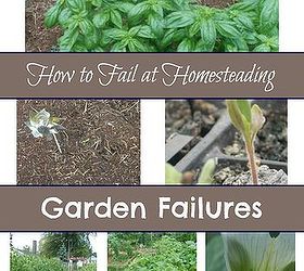gardening failures you can learn from, container gardening, gardening, homesteading