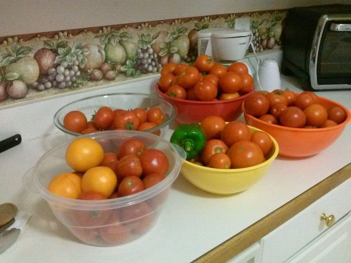 q what are your favorite tomatoes peppers where do you get your seed, gardening, homesteading, I gardened in containers last year