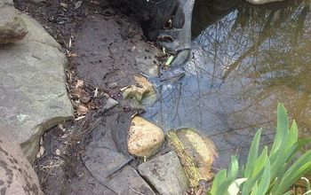 Pond Leak Repair and Renovation in Baltimore, Maryland (MD)