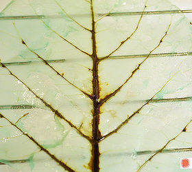 color tinted skeleton leaves, crafts, how to, repurposing upcycling, wall decor