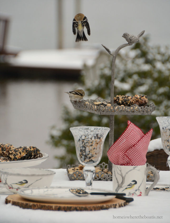 snowy day table for the birds, gardening, pets animals