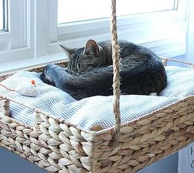 diy hanging basket cat perch, how to, pets animals, repurposing upcycling