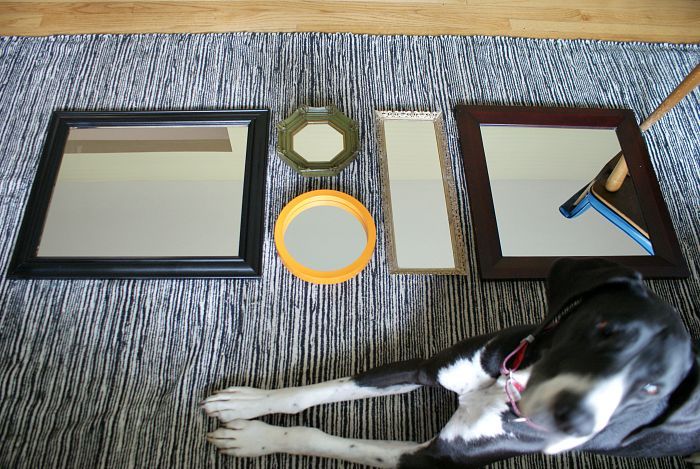 adding light with a mirror gallery, wall decor