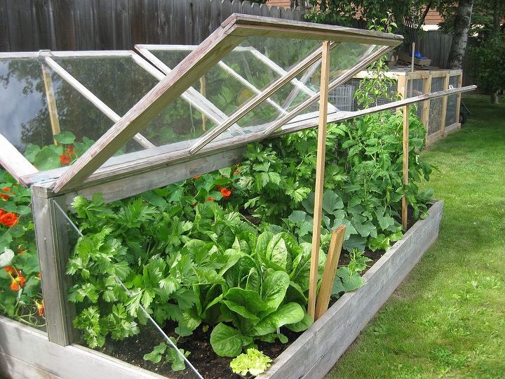 top 10 cold frame plans to prolong the growing season, container gardening, gardening, homesteading
