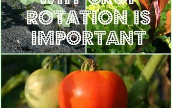 Why Is Crop Rotation Important?