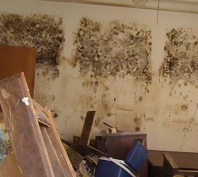 6 known health risks from indoor mold exposure, cleaning tips, home maintenance repairs
