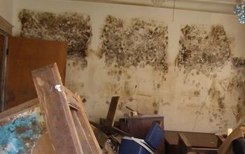 6 Known Health Risks From Indoor Mold Exposure