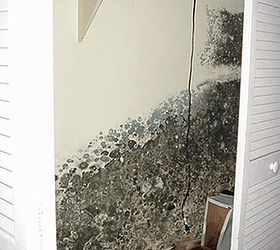 6 known health risks from indoor mold exposure, cleaning tips, home maintenance repairs
