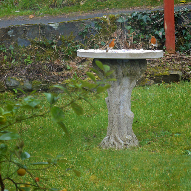 how to make a mosaic bird feeding table, gardening, how to, outdoor living, pets animals, repurposing upcycling, The local Robins seem to like the table too