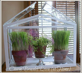 spring redefined ornamental wheat grass 101, container gardening, gardening, home decor, terrarium