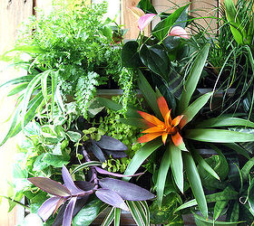 diy tropical pallet living wall, container gardening, flowers, gardening, how to, pallet, repurposing upcycling, wall decor