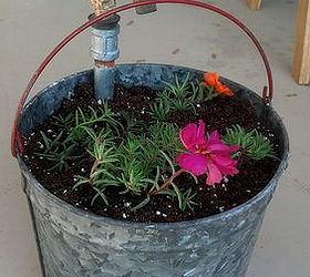 vintage bucket and faucet planter, container gardening, flowers, gardening, repurposing upcycling