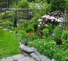 how to grow azaleas and rhododendrons, flowers, gardening, how to, The Garden of Duff Donna Evers