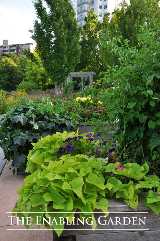 vegetable herb garden ideas, container gardening, flowers, gardening, homesteading