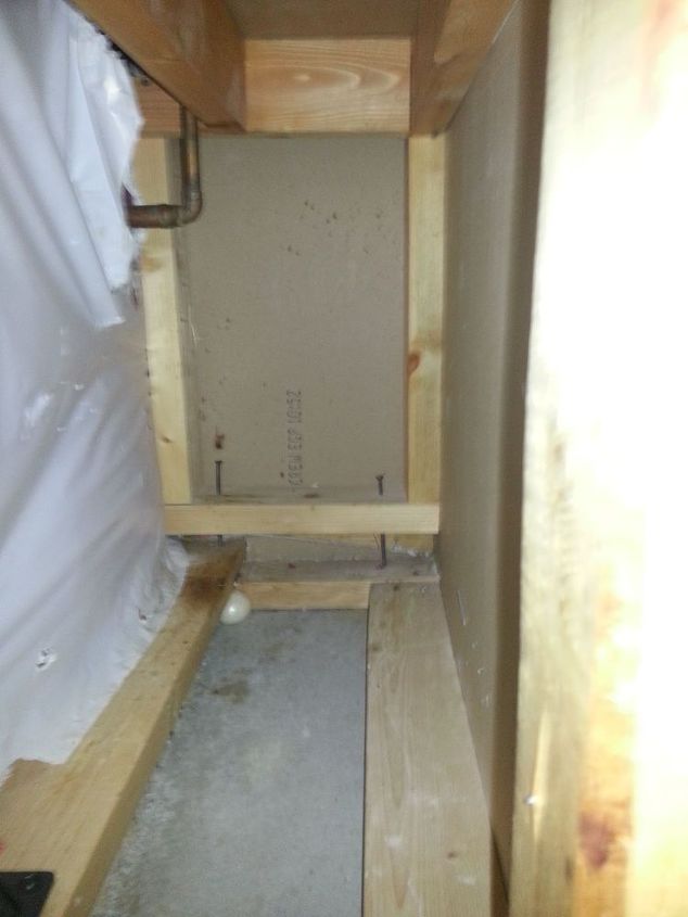 q foundation cracks behind insulation bug issues, pest control