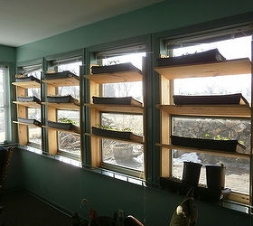 spring seed starting, gardening, homesteading, These shelves allow for more trays per window and designed by me to be put up with no fasteners The horizontals are friction fit to the verticals and squeezed in the window frames