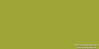 chalk paint newbie, The color I m hoping for