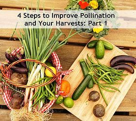 4 steps to improve pollination your harvests part 1, gardening, go green, homesteading, Bees are vital for an abundant harvest