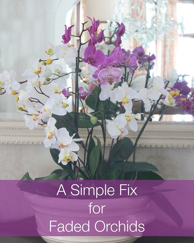 a simple fix for faded orchids, flowers, home decor