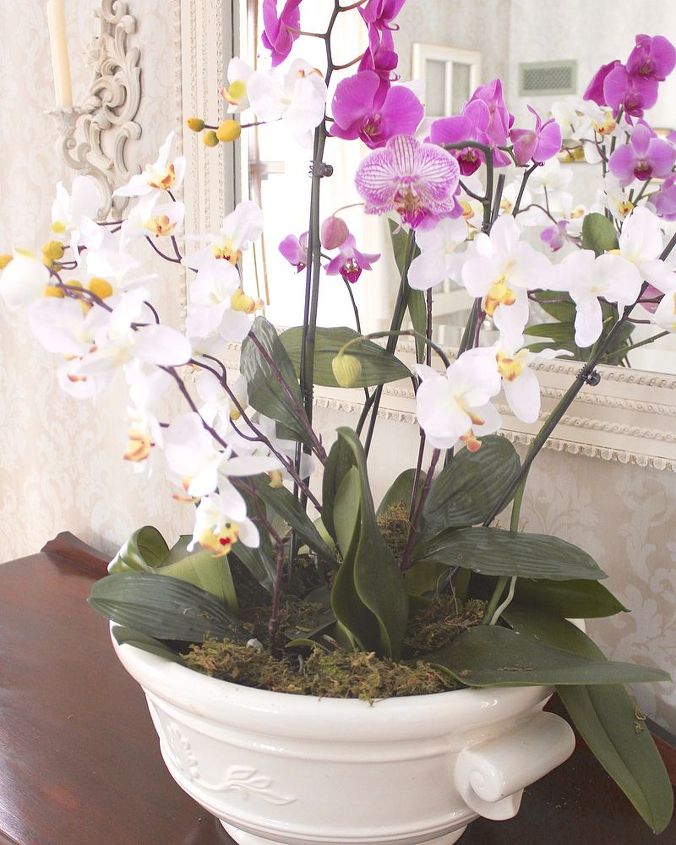 a simple fix for faded orchids, flowers, home decor