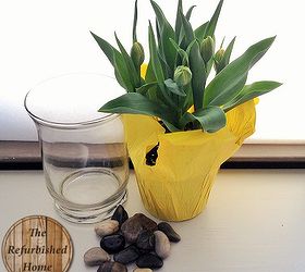 how to force tulips or at least make people think you did, container gardening, flowers, gardening, home decor, how to