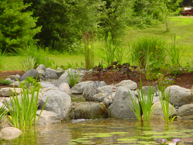 picture perfect ponds western massachusetts and northern connecticut, landscape, outdoor living, ponds water features