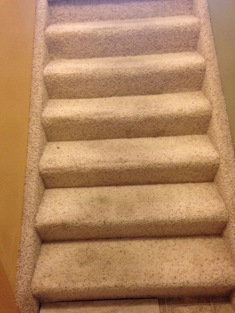 stairs removing carpet wood or re treads