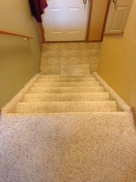 escadas removendo o tapete madeira ou degraus