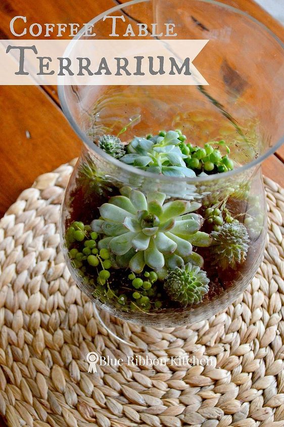 diy coffee table terrarium, container gardening, gardening, home decor, terrarium